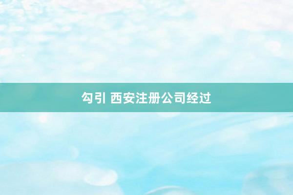 勾引 西安注册公司经过