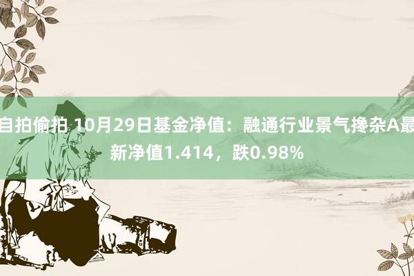 自拍偷拍 10月29日基金净值：融通行业景气搀杂A最新净值1.414，跌0.98%