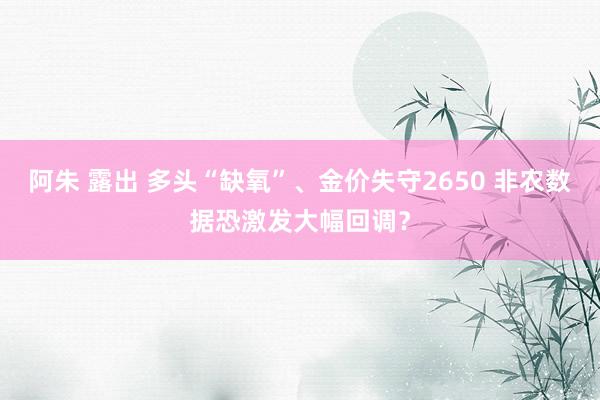 阿朱 露出 多头“缺氧”、金价失守2650 非农数据恐激发大幅回调？