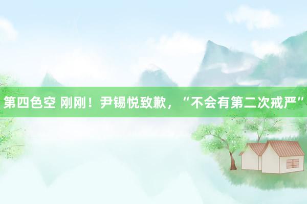 第四色空 刚刚！尹锡悦致歉，“不会有第二次戒严”