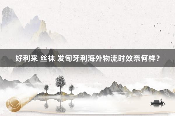 好利来 丝袜 发匈牙利海外物流时效奈何样？