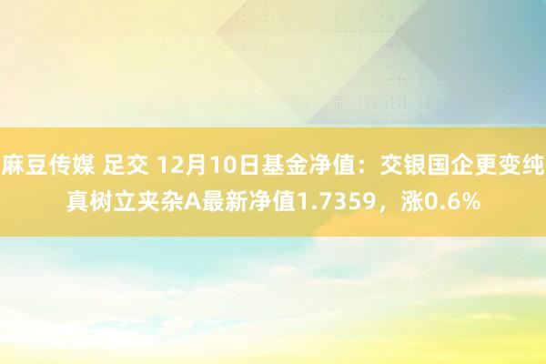 麻豆传媒 足交 12月10日基金净值：交银国企更变纯真树立夹杂A最新净值1.7359，涨0.6%