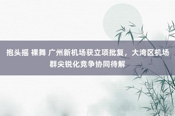 抱头摇 裸舞 广州新机场获立项批复，大湾区机场群尖锐化竞争协同待解