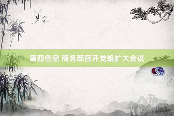 第四色空 商务部召开党组扩大会议