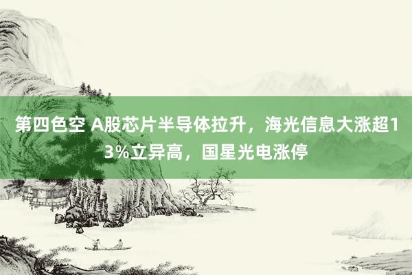 第四色空 A股芯片半导体拉升，海光信息大涨超13%立异高，国星光电涨停