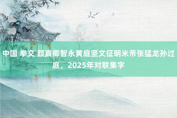 中国 拳交 颜真卿智永黄庭坚文征明米芾张猛龙孙过庭，2025年对联集字