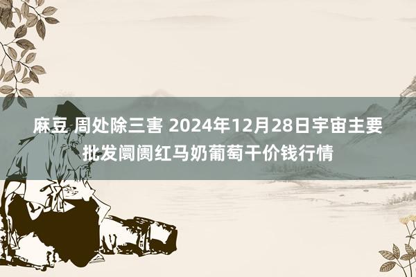 麻豆 周处除三害 2024年12月28日宇宙主要批发阛阓红马奶葡萄干价钱行情