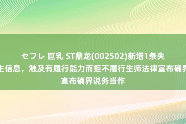 セフレ 巨乳 ST鼎龙(002502)新增1条失信东说念主信息，触及有履行能力而拒不履行生师法律宣布确界说务当作