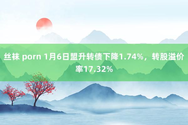 丝袜 porn 1月6日盟升转债下降1.74%，转股溢价率17.32%