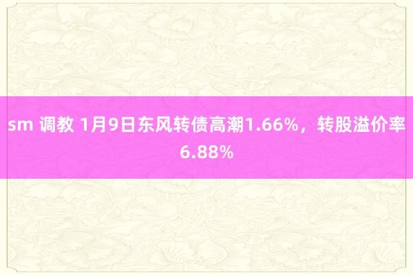 sm 调教 1月9日东风转债高潮1.66%，转股溢价率6.88%