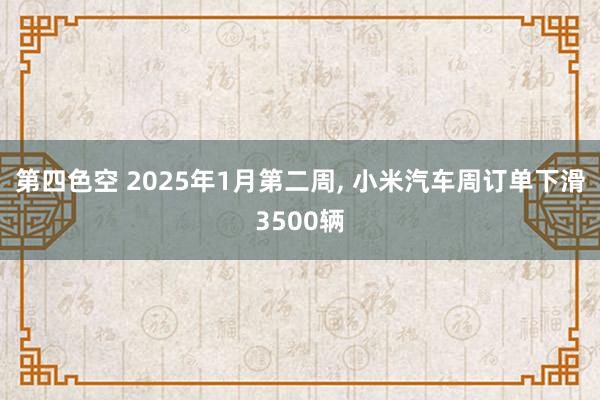第四色空 2025年1月第二周， 小米汽车周订单下滑3500辆