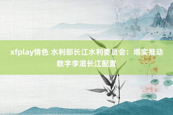 xfplay情色 水利部长江水利委员会：塌实推动数字孪滋长江配置