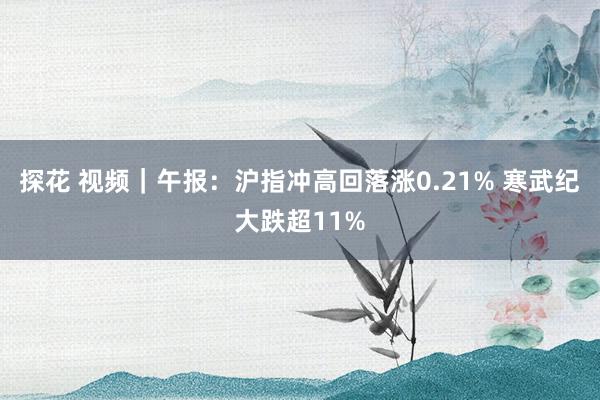 探花 视频｜午报：沪指冲高回落涨0.21% 寒武纪大跌超11%