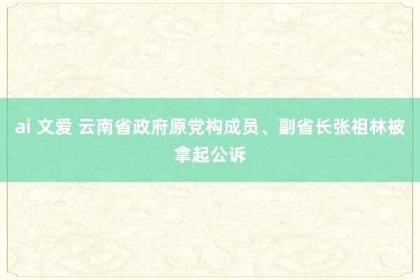 ai 文爱 云南省政府原党构成员、副省长张祖林被拿起公诉