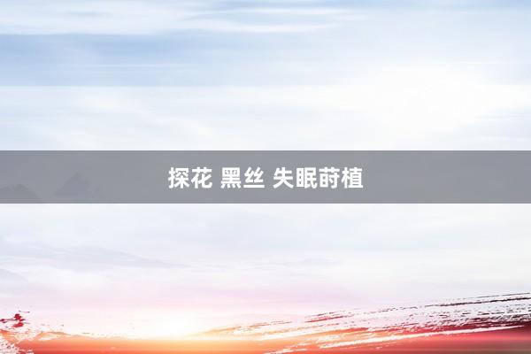 探花 黑丝 失眠莳植