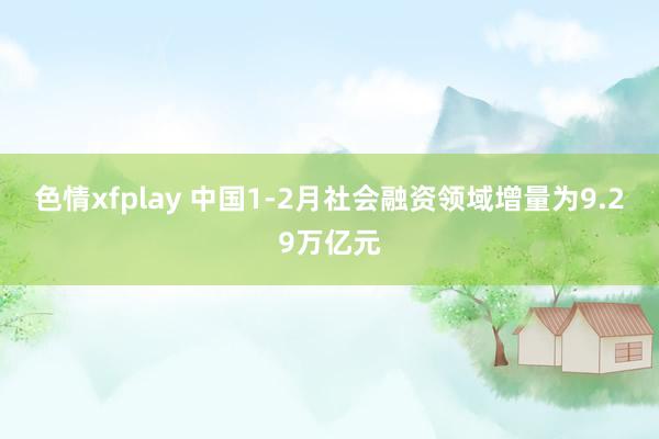 色情xfplay 中国1-2月社会融资领域增量为9.29万亿元
