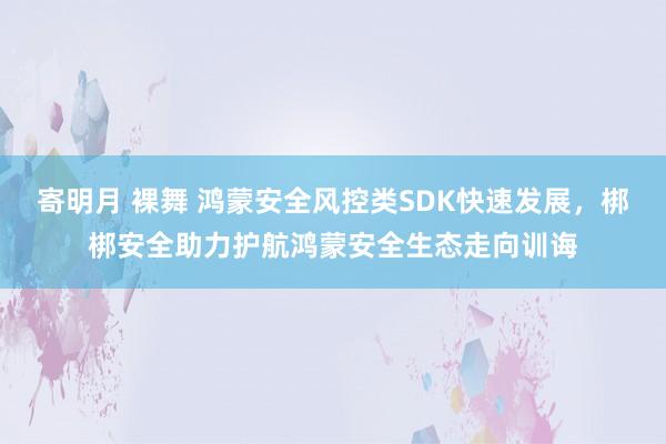寄明月 裸舞 鸿蒙安全风控类SDK快速发展，梆梆安全助力护航鸿蒙安全生态走向训诲