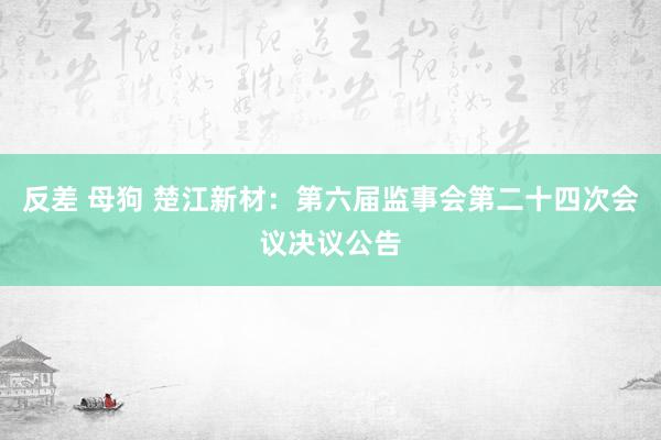 反差 母狗 楚江新材：第六届监事会第二十四次会议决议公告