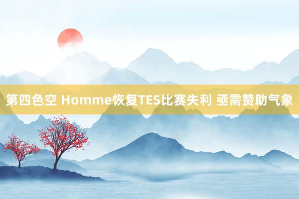 第四色空 Homme恢复TES比赛失利 亟需赞助气象