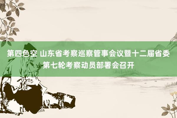 第四色空 山东省考察巡察管事会议暨十二届省委第七轮考察动员部署会召开