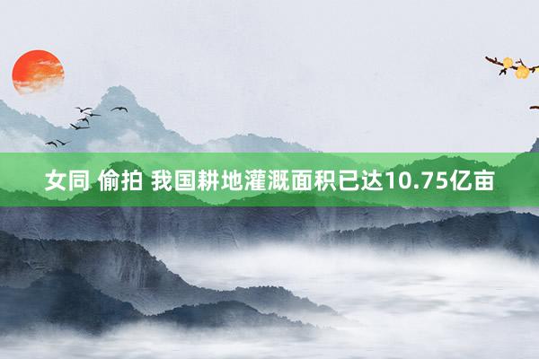 女同 偷拍 我国耕地灌溉面积已达10.75亿亩