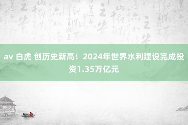 av 白虎 创历史新高！2024年世界水利建设完成投资1.35万亿元