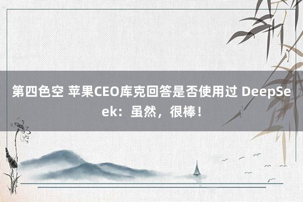 第四色空 苹果CEO库克回答是否使用过 DeepSeek：虽然，很棒！