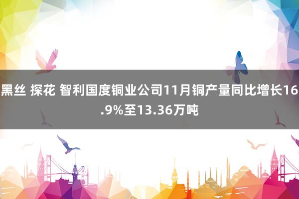 黑丝 探花 智利国度铜业公司11月铜产量同比增长16.9%至13.36万吨