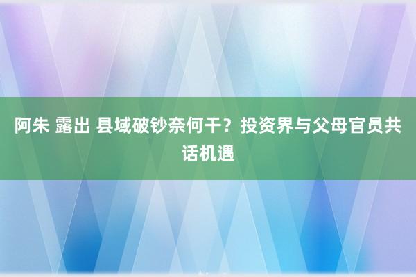 阿朱 露出 县域破钞奈何干？投资界与父母官员共话机遇