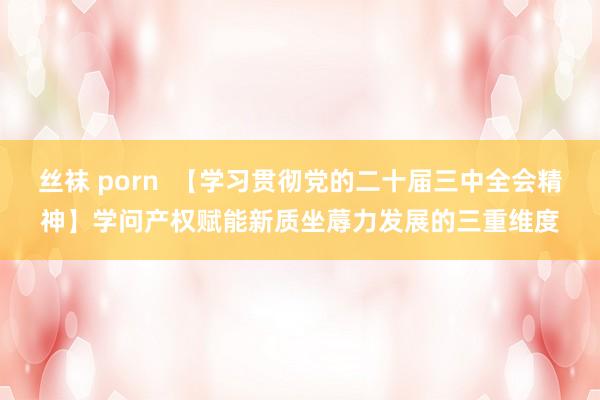 丝袜 porn  【学习贯彻党的二十届三中全会精神】学问产权赋能新质坐蓐力发展的三重维度
