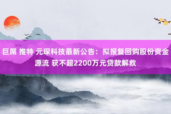 巨屌 推特 元琛科技最新公告：拟报复回购股份资金源流 获不超2200万元贷款解救