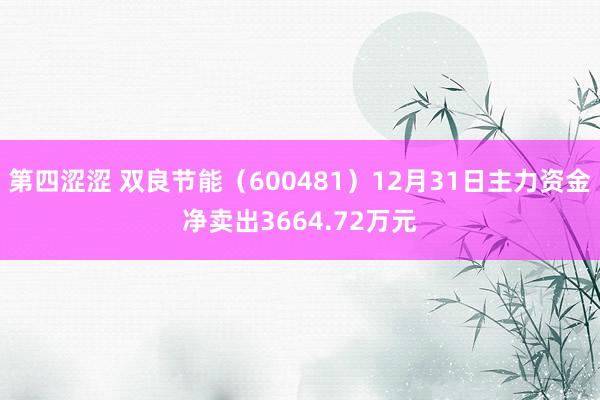 第四涩涩 双良节能（600481）12月31日主力资金净卖出3664.72万元