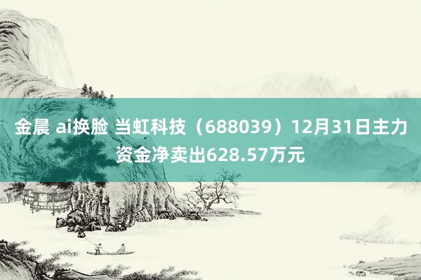 金晨 ai换脸 当虹科技（688039）12月31日主力资金净卖出628.57万元