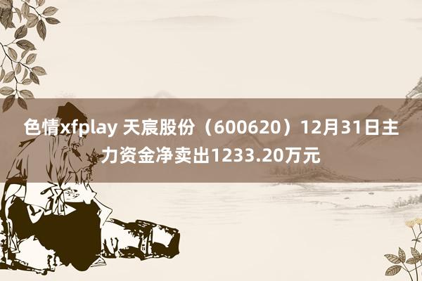 色情xfplay 天宸股份（600620）12月31日主力资金净卖出1233.20万元