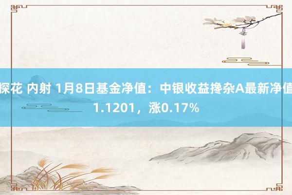 探花 内射 1月8日基金净值：中银收益搀杂A最新净值1.1201，涨0.17%