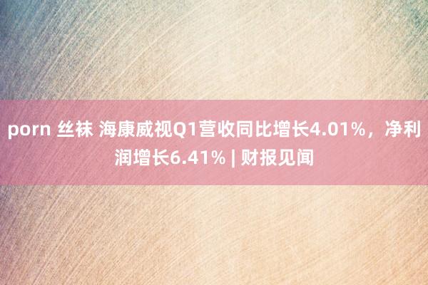 porn 丝袜 海康威视Q1营收同比增长4.01%，净利润增长6.41% | 财报见闻