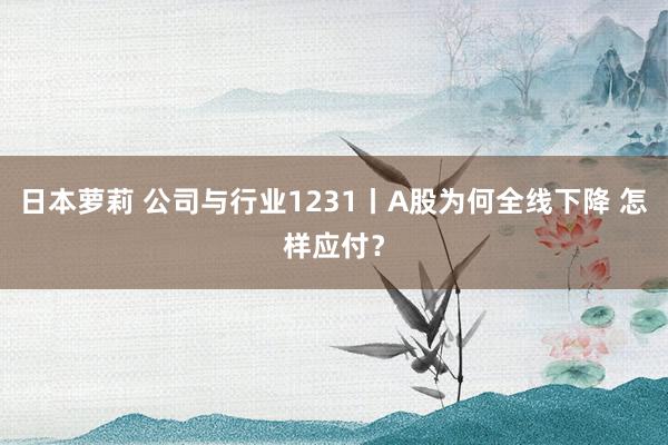 日本萝莉 公司与行业1231丨A股为何全线下降 怎样应付?