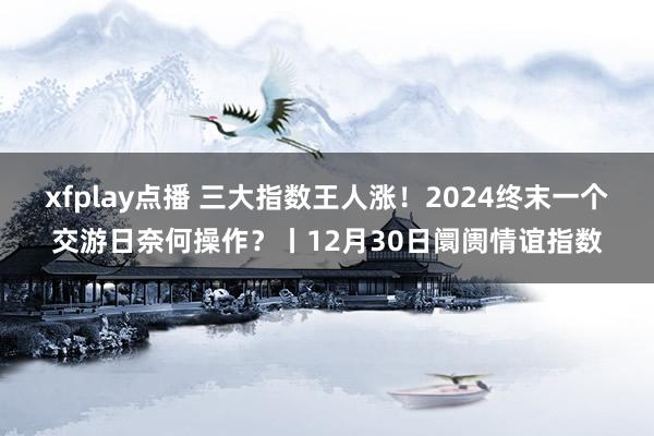 xfplay点播 三大指数王人涨！2024终末一个交游日奈何操作？丨12月30日阛阓情谊指数
