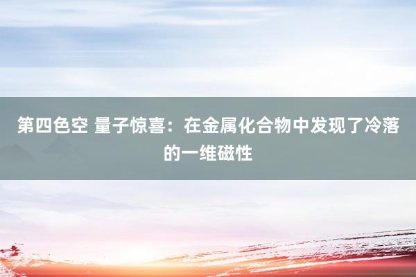 第四色空 量子惊喜：在金属化合物中发现了冷落的一维磁性