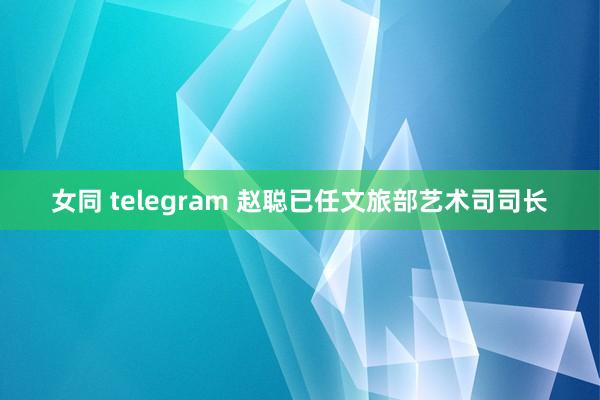 女同 telegram 赵聪已任文旅部艺术司司长