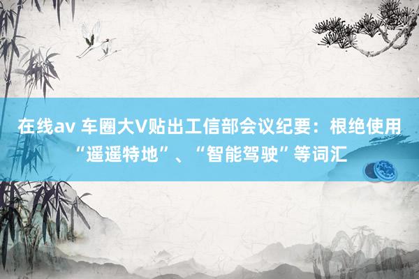 在线av 车圈大V贴出工信部会议纪要：根绝使用“遥遥特地”、“智能驾驶”等词汇