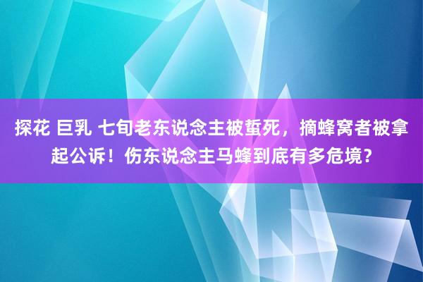 探花 巨乳 七旬老东说念主被蜇死，摘蜂窝者被拿起公诉！伤东说念主马蜂到底有多危境？